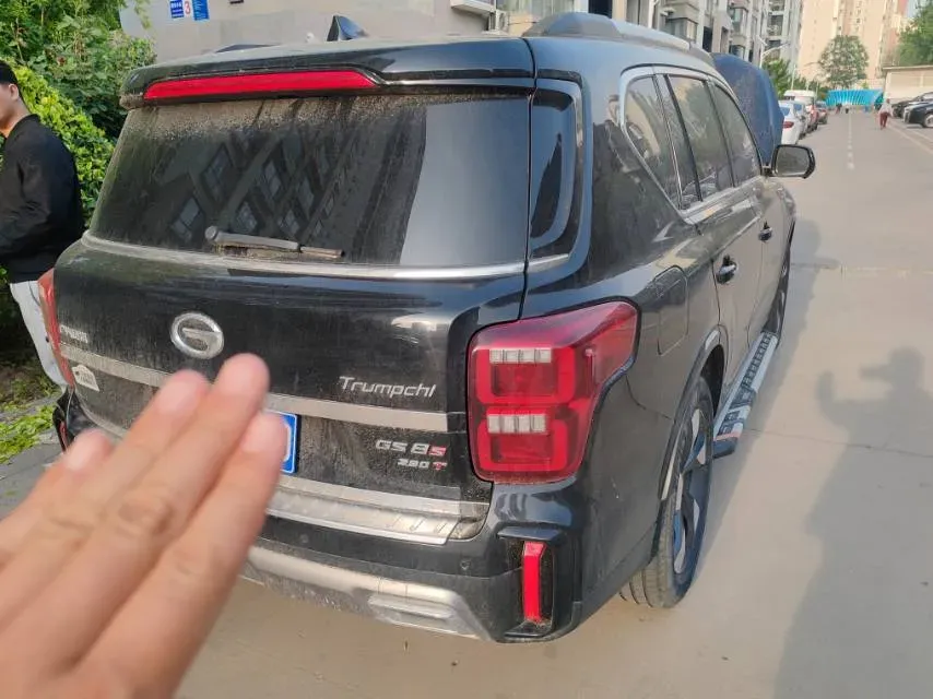 2020 GAC Trumpchi GS8 2.0T 252HP L4 6AT,autocango,china used car exporter,china ev exporter,chinese used car exporter,chinese used ev exporter