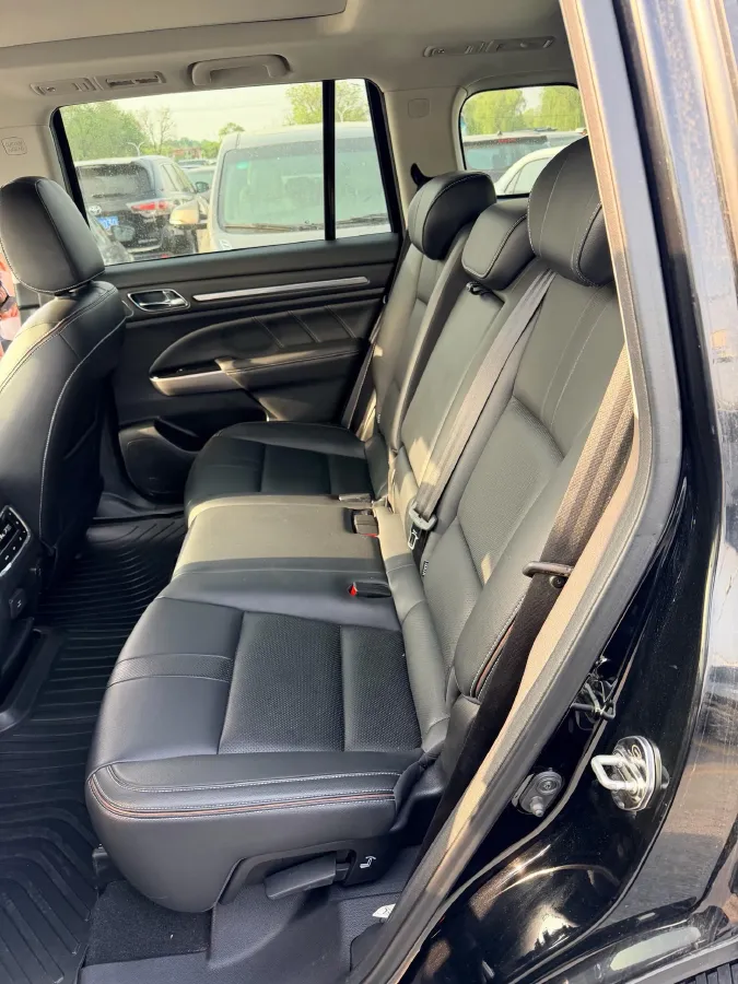 2020 GAC Trumpchi GS8 2.0T 252HP L4 6AT,autocango,china used car exporter,china ev exporter,chinese used car exporter,chinese used ev exporter