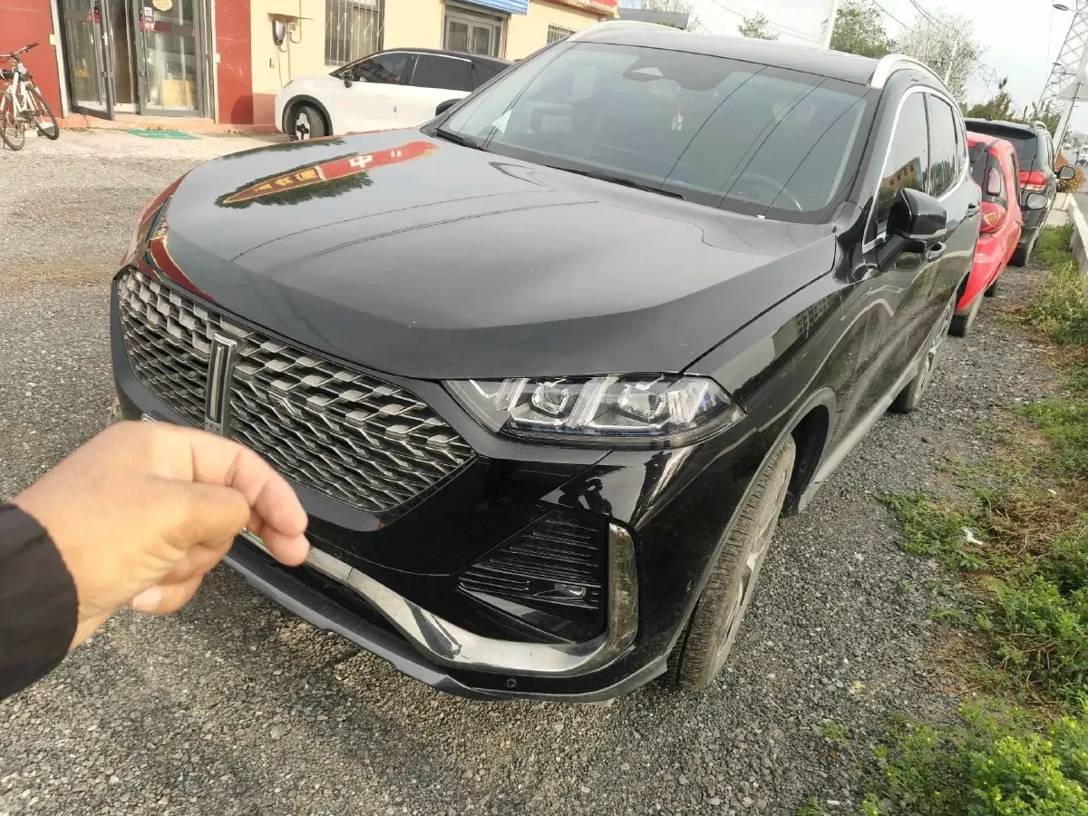 2022 WEY Latte 1.5T 156HP L4 2DHT PHEV 34KWH,autocango,china used car exporter,china ev exporter,chinese used car exporter,chinese used ev exporter