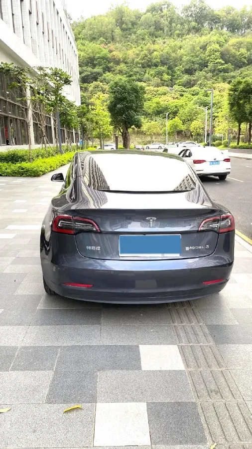 2020 Tesla Model 3 BEV 55KWH,autocango,china used car exporter,china ev exporter,chinese used car exporter,chinese used ev exporter