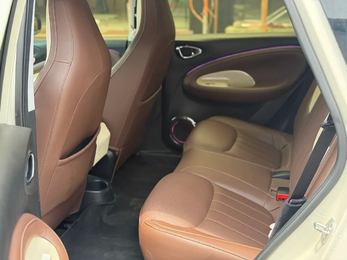 2023 WuLing BinGuo BEV 31.9KWH,autocango,china used car exporter,china ev exporter,chinese used car exporter,chinese used ev exporter