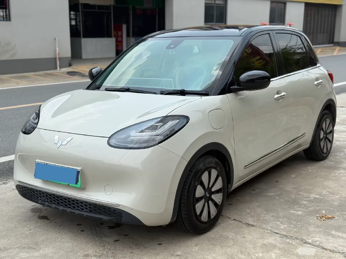 2023 WuLing BinGuo BEV 31.9KWH,autocango,china used car exporter,china ev exporter,chinese used car exporter,chinese used ev exporter