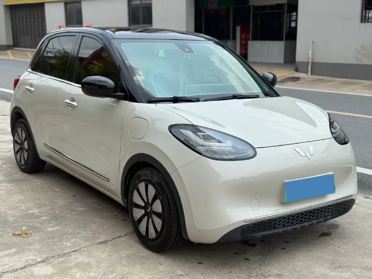 2023 WuLing BinGuo BEV 31.9KWH,autocango,china used car exporter,china ev exporter,chinese used car exporter,chinese used ev exporter