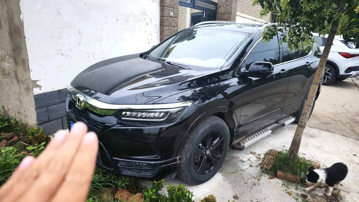 2021 Honda Breeze 1.5T 193HP L4 CVT,autocango,china used car exporter,china ev exporter,chinese used car exporter,chinese used ev exporter