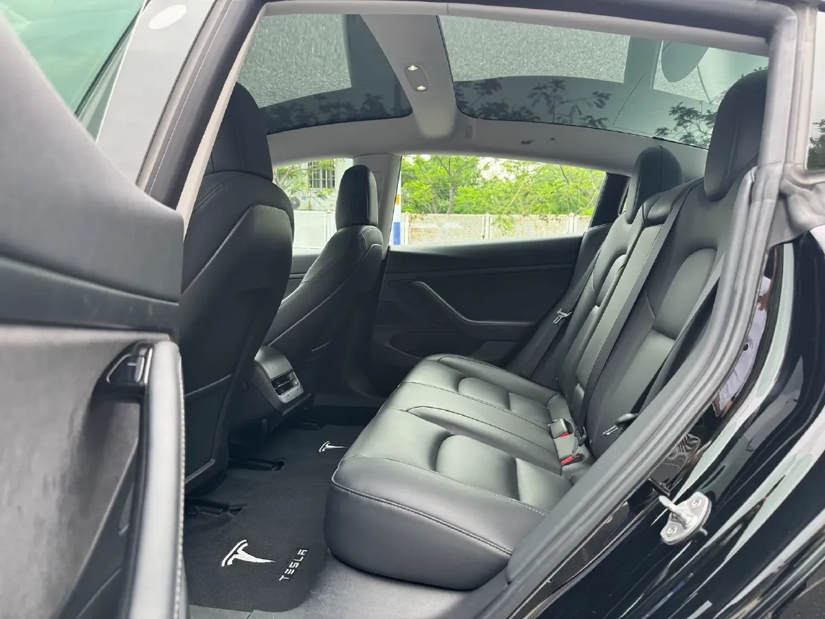 2020 Tesla Model 3 BEV 55KWH,autocango,china used car exporter,china ev exporter,chinese used car exporter,chinese used ev exporter