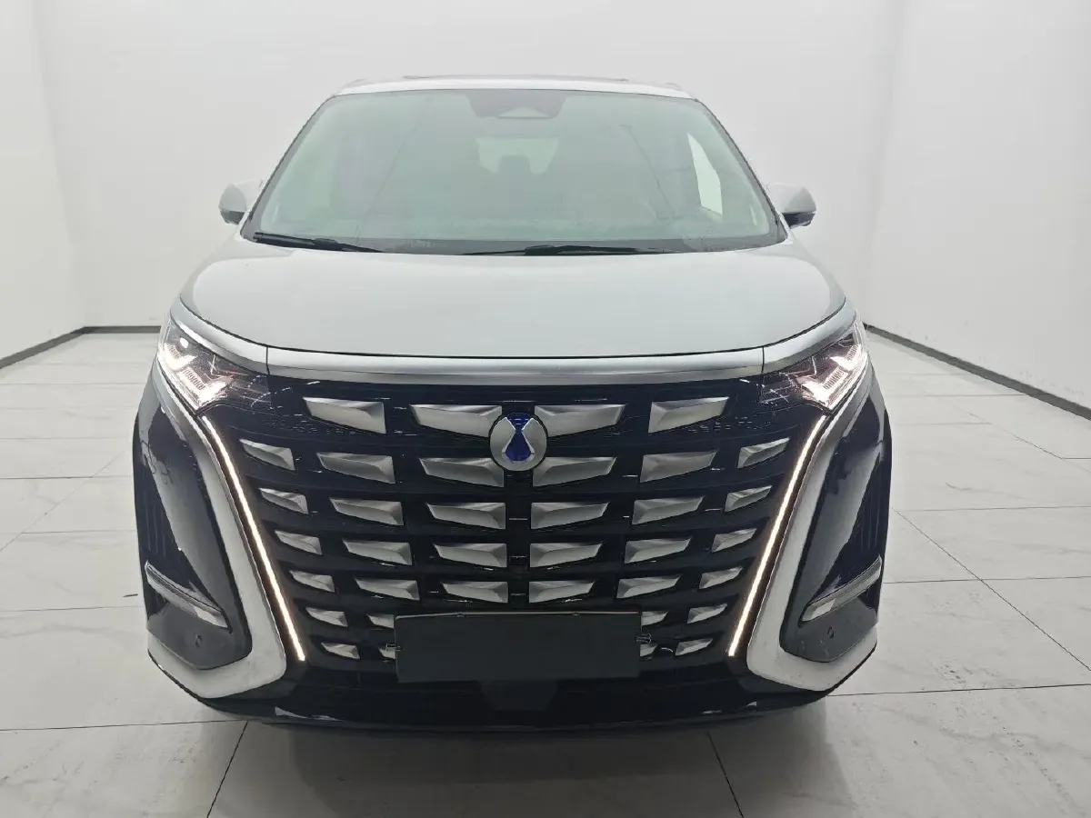 2024 Denza D9 1.5T 139HP L4 E-CVT PHEV 40KWH,autocango,china used car exporter,china ev exporter,chinese used car exporter,chinese used ev exporter