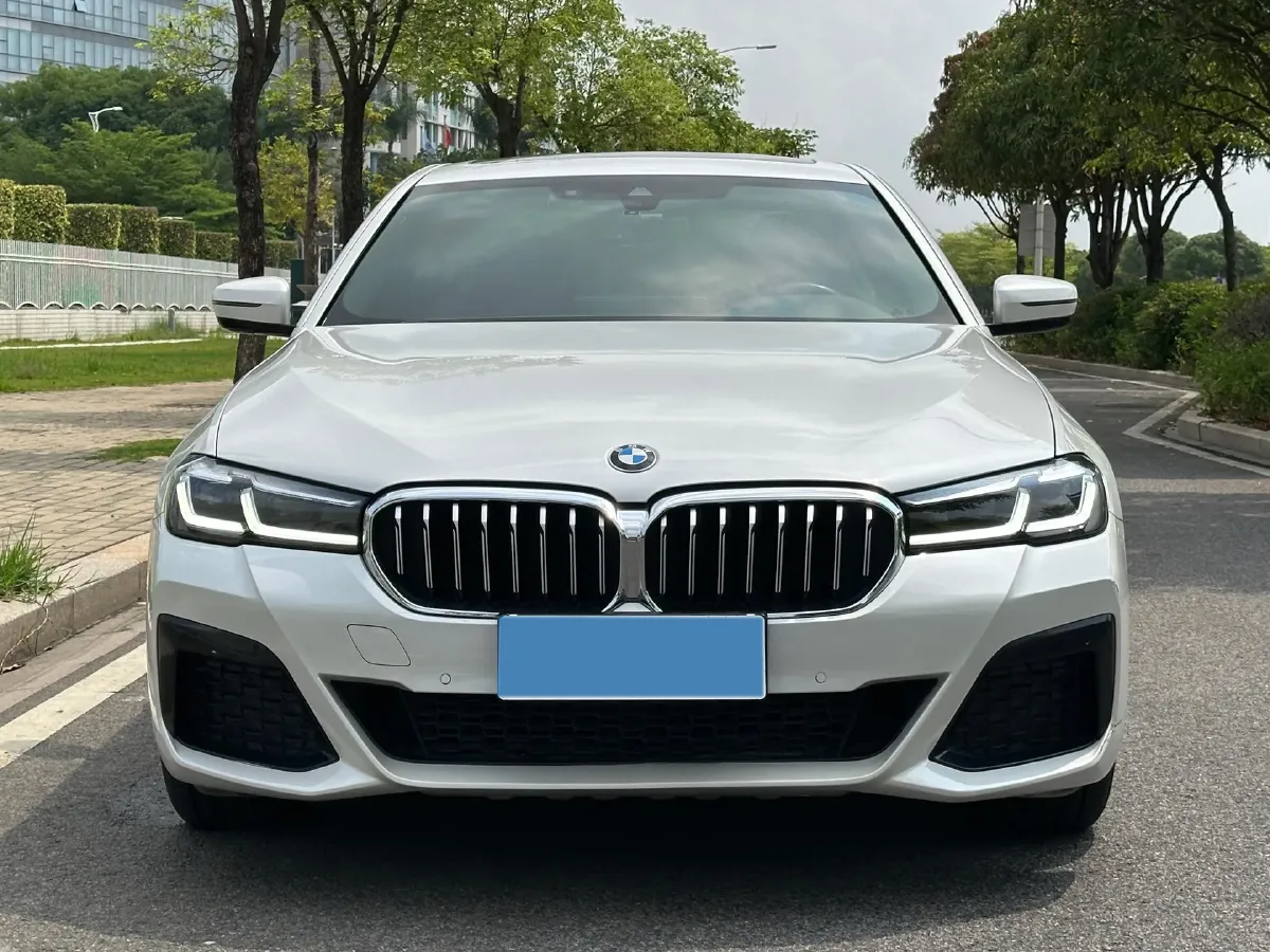 2021 BMW 5 Series 2.0T 252HP L4 8AT,autocango,china used car exporter,china ev exporter,chinese used car exporter,chinese used ev exporter