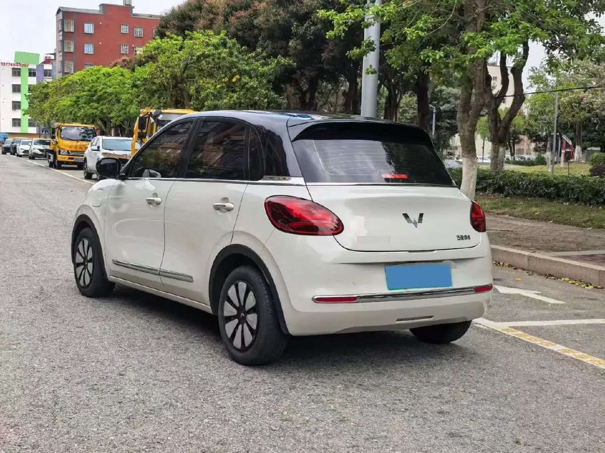 2023 WuLing BinGuo BEV 31.9KWH,autocango,china used car exporter,china ev exporter,chinese used car exporter,chinese used ev exporter