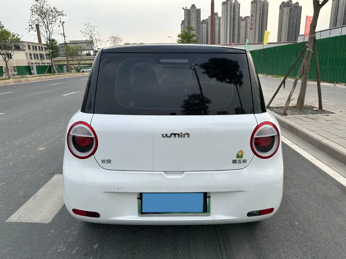 2023 ChangAn QiYuan Lumin BEV 28.08KWH,autocango,china used car exporter,china ev exporter,chinese used car exporter,chinese used ev exporter