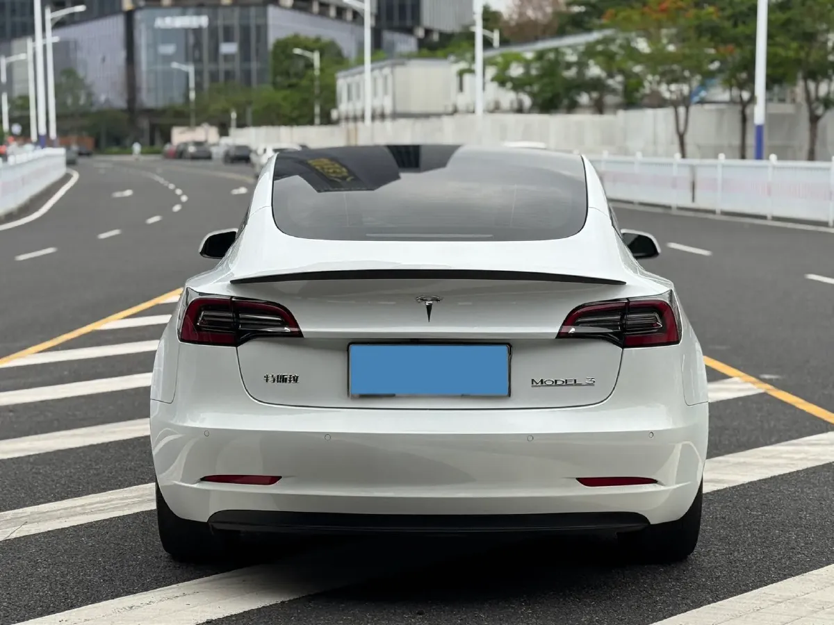 2021 Tesla Model 3 BEV 55KWH,autocango,china used car exporter,china ev exporter,chinese used car exporter,chinese used ev exporter