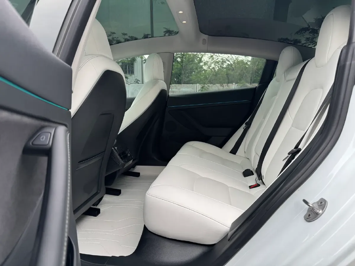 2021 Tesla Model 3 BEV 55KWH,autocango,china used car exporter,china ev exporter,chinese used car exporter,chinese used ev exporter