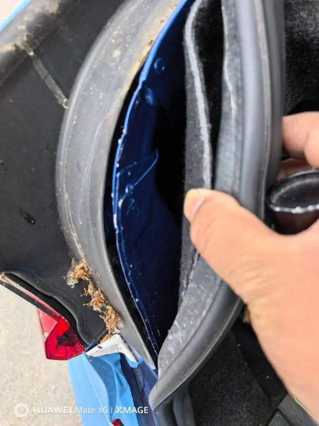 2020 BMW 3 Series 2.0T 184HP L4 8AT,autocango,china used car exporter,china ev exporter,chinese used car exporter,chinese used ev exporter