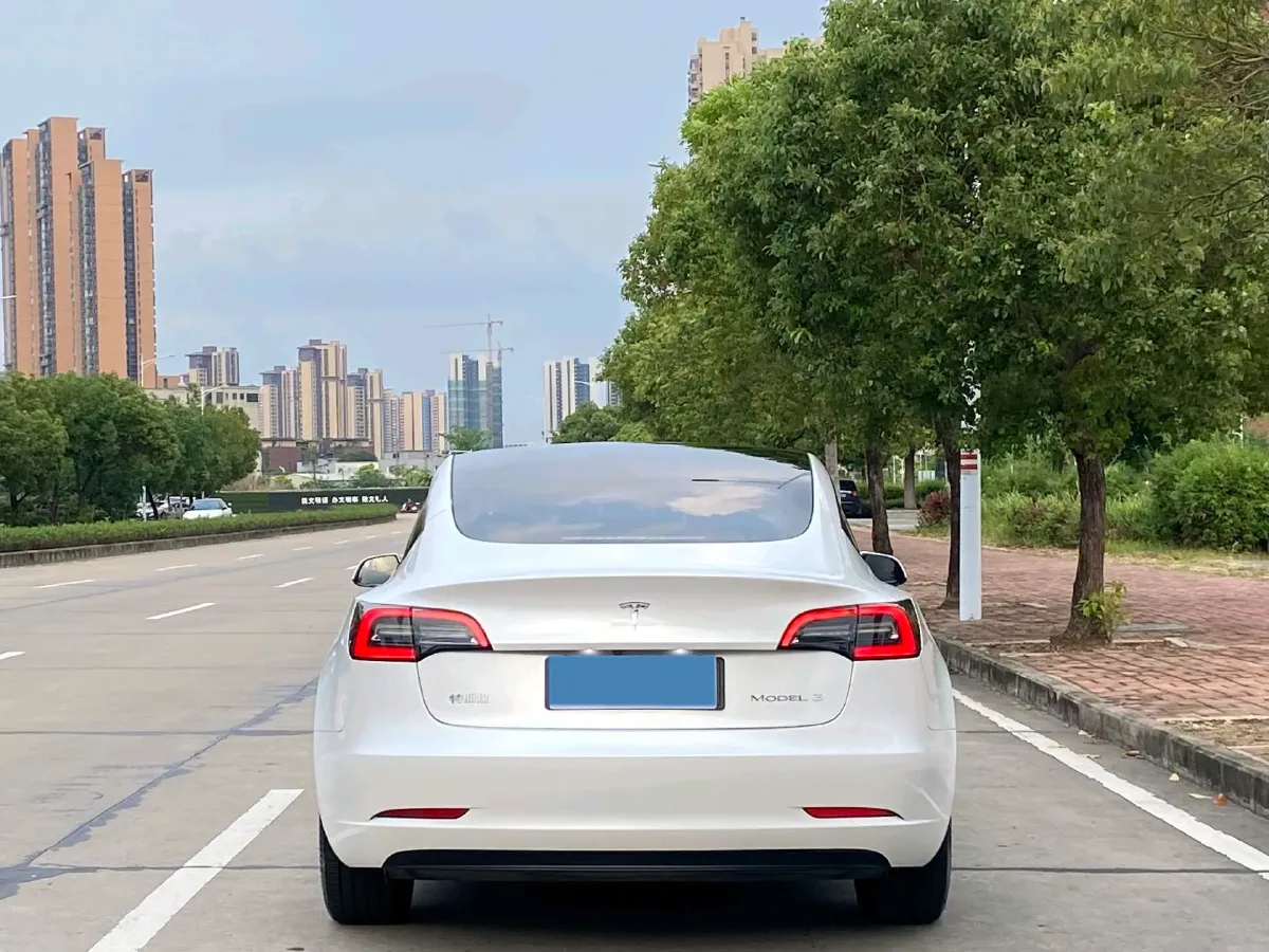 2022 Tesla Model 3 BEV 60KWH,autocango,china used car exporter,china ev exporter,chinese used car exporter,chinese used ev exporter
