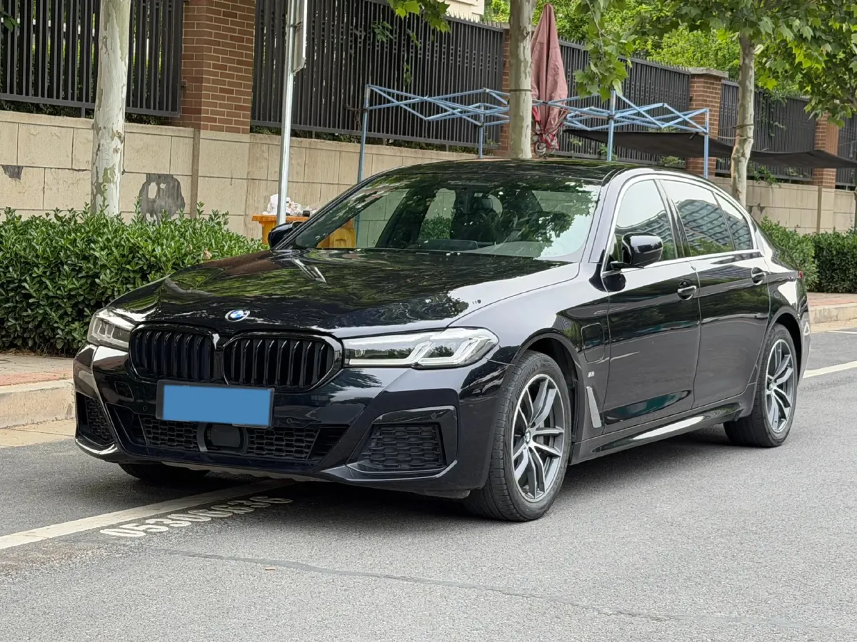 2021 BMW 5 Series 2.0T 184HP L4 8AT PHEV 17.7KWH,autocango,china used car exporter,china ev exporter,chinese used car exporter,chinese used ev exporter