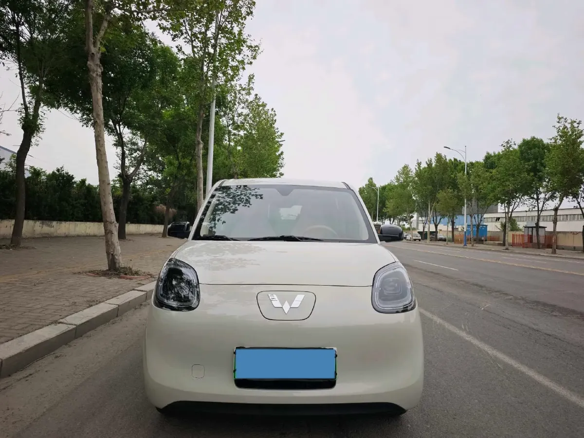 2025 WuLing HongGuang MINI EV BEV 16.2KWH,autocango,china used car exporter,china ev exporter,chinese used car exporter,chinese used ev exporter