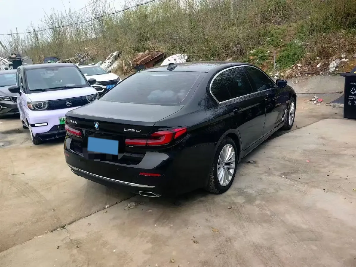 2021 BMW 5 Series 2.0T 184HP L4 8AT,autocango,china used car exporter,china ev exporter,chinese used car exporter,chinese used ev exporter