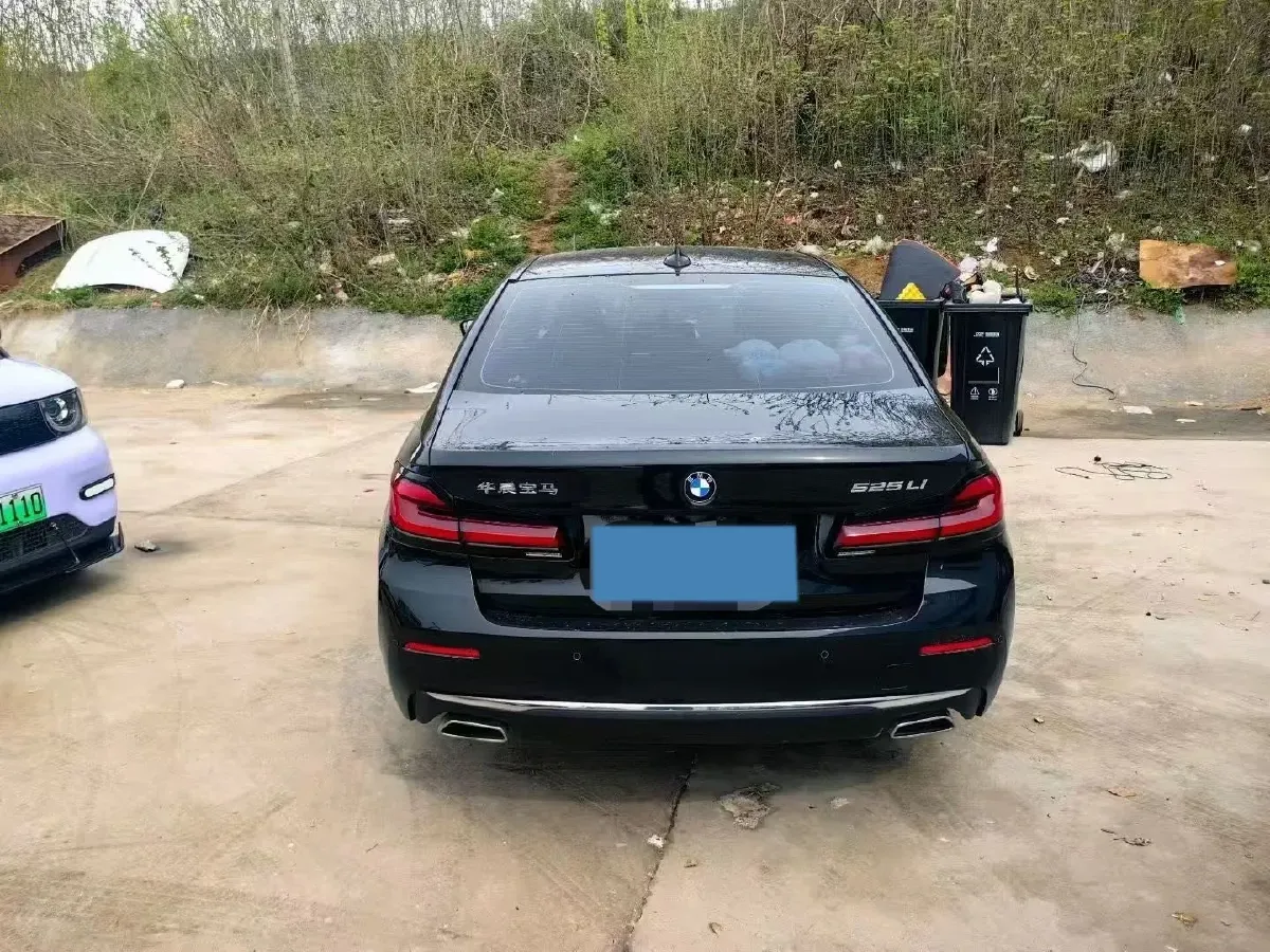 2021 BMW 5 Series 2.0T 184HP L4 8AT,autocango,china used car exporter,china ev exporter,chinese used car exporter,chinese used ev exporter