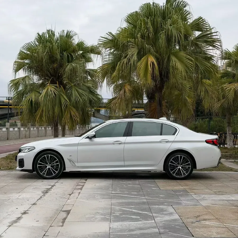 2022 BMW 5 Series 2.0T 252HP L4 8AT,autocango,china used car exporter,china ev exporter,chinese used car exporter,chinese used ev exporter
