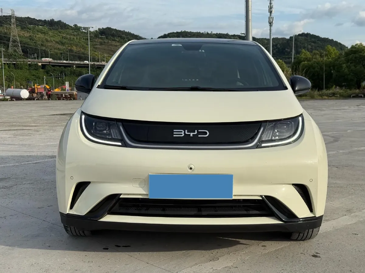 2023 BYD Dolphin BEV 44.928KWH,autocango,china used car exporter,china ev exporter,chinese used car exporter,chinese used ev exporter