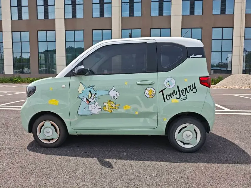 2022 DongFeng Fengon Fengon MINI EV BEV 13.8KWH,autocango,china used car exporter,china ev exporter,chinese used car exporter,chinese used ev exporter