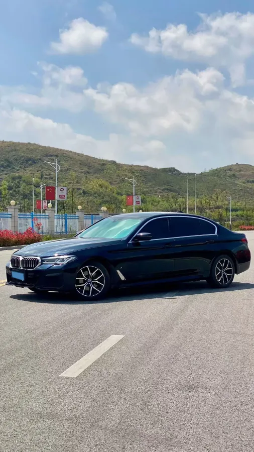 2021 BMW 5 Series 2.0T 184HP L4 8AT,autocango,china used car exporter,china ev exporter,chinese used car exporter,chinese used ev exporter