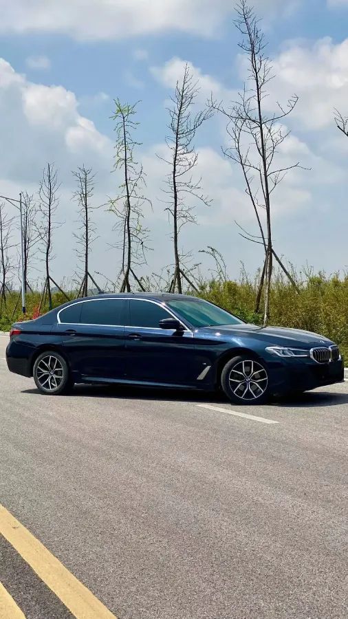 2021 BMW 5 Series 2.0T 184HP L4 8AT,autocango,china used car exporter,china ev exporter,chinese used car exporter,chinese used ev exporter