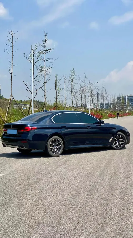 2021 BMW 5 Series 2.0T 184HP L4 8AT,autocango,china used car exporter,china ev exporter,chinese used car exporter,chinese used ev exporter