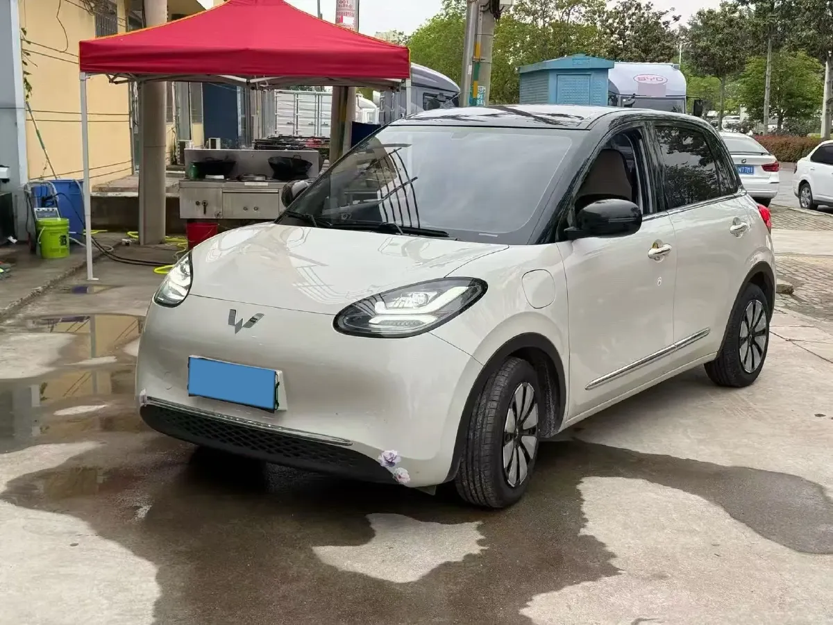 2024 WuLing BinGuo BEV 31.9KWH,autocango,china used car exporter,china ev exporter,chinese used car exporter,chinese used ev exporter