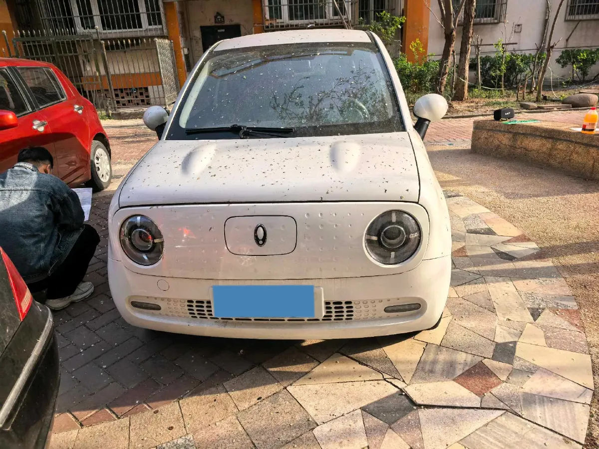 2022 Ora BlackCat BEV 33KWH,autocango,china used car exporter,china ev exporter,chinese used car exporter,chinese used ev exporter