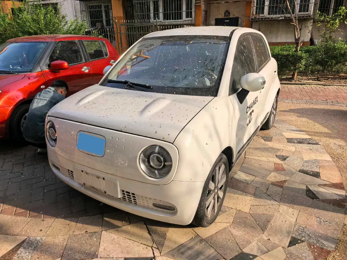 2022 Ora BlackCat BEV 33KWH,autocango,china used car exporter,china ev exporter,chinese used car exporter,chinese used ev exporter