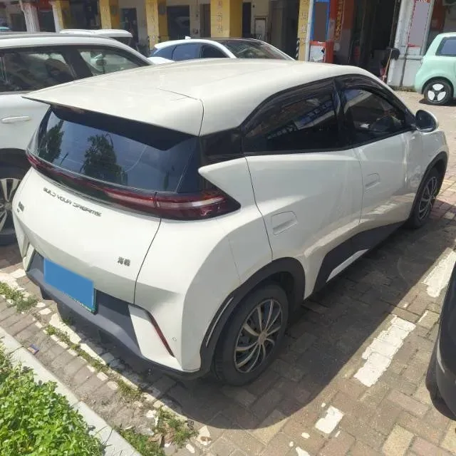 2023 BYD Seagull BEV 30.08KWH,autocango,china used car exporter,china ev exporter,chinese used car exporter,chinese used ev exporter