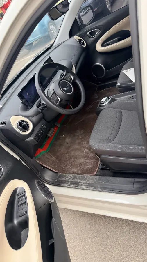 2023 WuLing BinGuo BEV 31.9KWH,autocango,china used car exporter,china ev exporter,chinese used car exporter,chinese used ev exporter