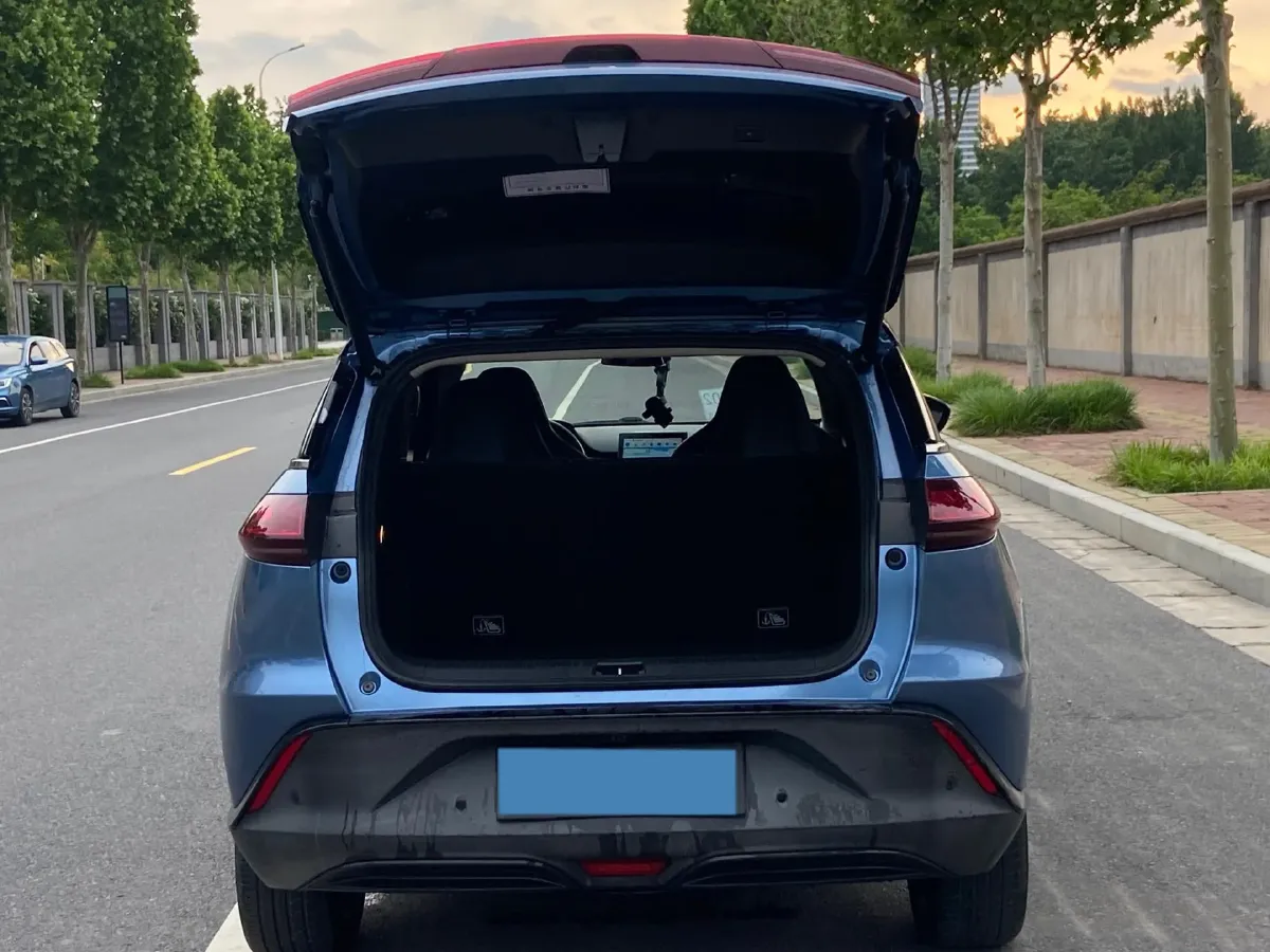 2020 Xpeng G3 BEV 66.5KWH,autocango,china used car exporter,china ev exporter,chinese used car exporter,chinese used ev exporter