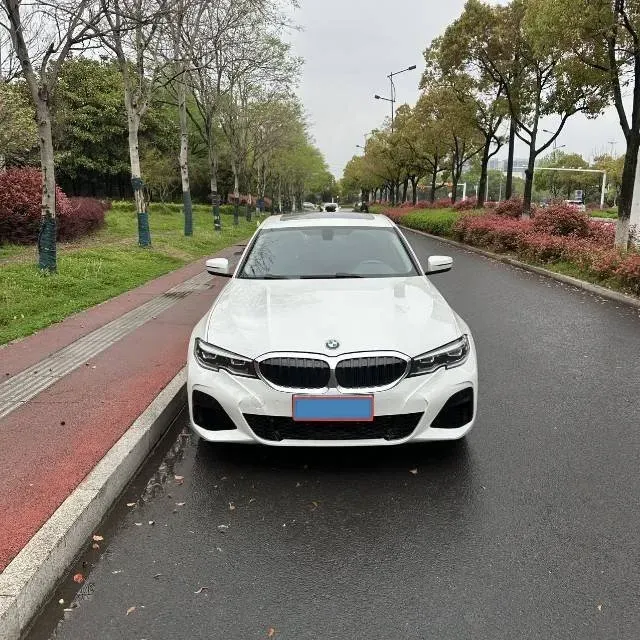2021 BMW 3 Series 2.0T 156HP L4 8AT,autocango,china used car exporter,china ev exporter,chinese used car exporter,chinese used ev exporter