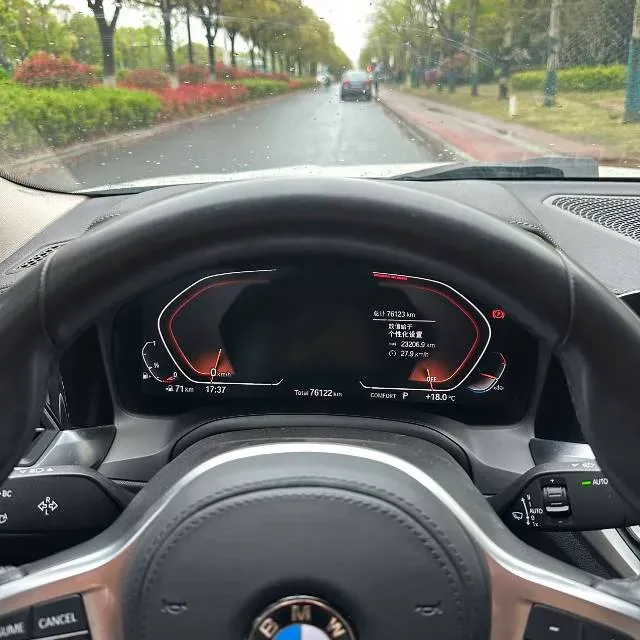 2021 BMW 3 Series 2.0T 156HP L4 8AT,autocango,china used car exporter,china ev exporter,chinese used car exporter,chinese used ev exporter