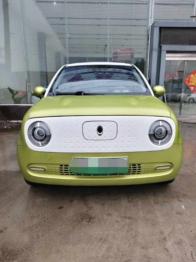 2019 Ora BlackCat BEV 28.5KWH,autocango,china used car exporter,china ev exporter,chinese used car exporter,chinese used ev exporter