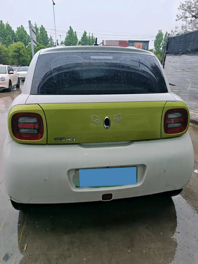 2019 Ora BlackCat BEV 28.5KWH,autocango,china used car exporter,china ev exporter,chinese used car exporter,chinese used ev exporter