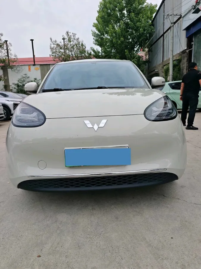 2025 WuLing BinGuo BEV,autocango,china used car exporter,china ev exporter,chinese used car exporter,chinese used ev exporter