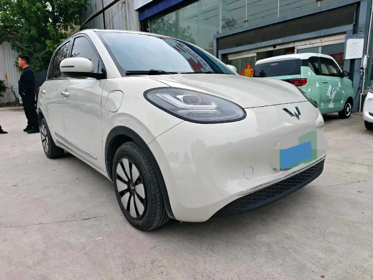 2025 WuLing BinGuo BEV,autocango,china used car exporter,china ev exporter,chinese used car exporter,chinese used ev exporter