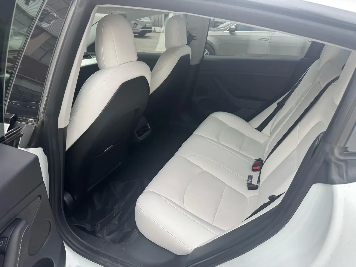 2021 Tesla Model 3 BEV 76.8KWH,autocango,china used car exporter,china ev exporter,chinese used car exporter,chinese used ev exporter