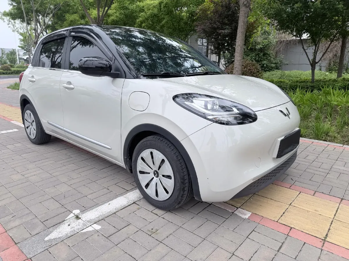 2023 WuLing BinGuo BEV 31.9KWH,autocango,china used car exporter,china ev exporter,chinese used car exporter,chinese used ev exporter