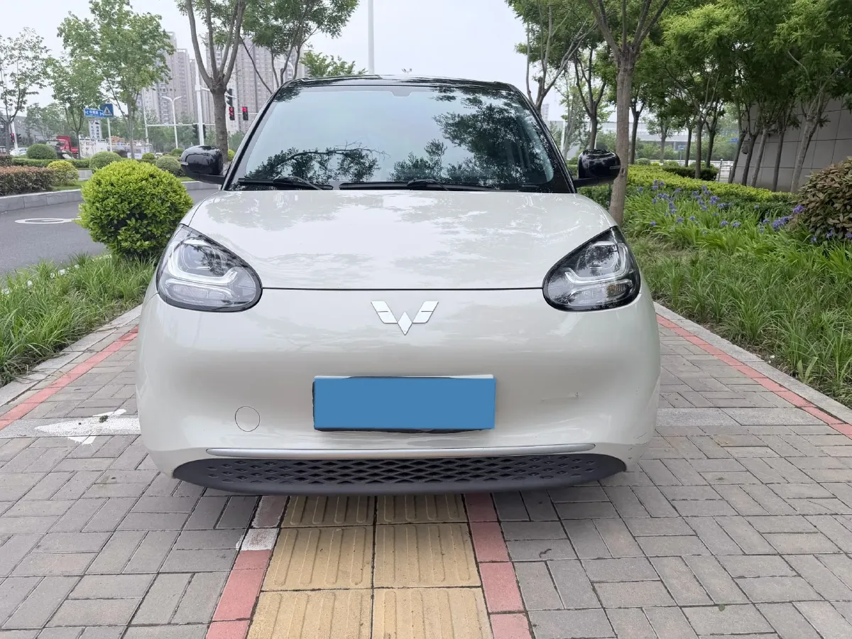 2023 WuLing BinGuo BEV 31.9KWH,autocango,china used car exporter,china ev exporter,chinese used car exporter,chinese used ev exporter