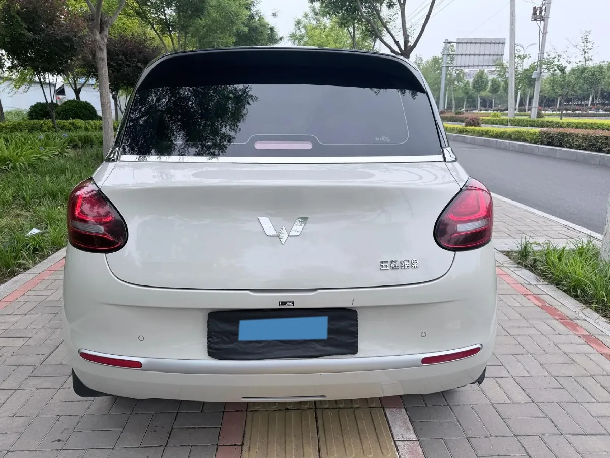 2023 WuLing BinGuo BEV 31.9KWH,autocango,china used car exporter,china ev exporter,chinese used car exporter,chinese used ev exporter