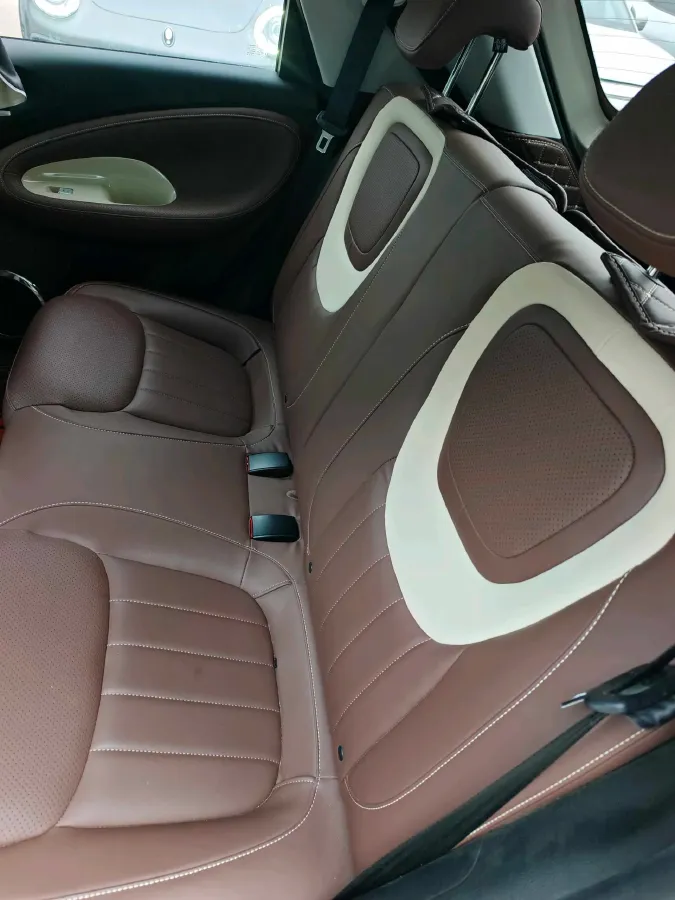 2023 WuLing BinGuo BEV 31.9KWH,autocango,china used car exporter,china ev exporter,chinese used car exporter,chinese used ev exporter