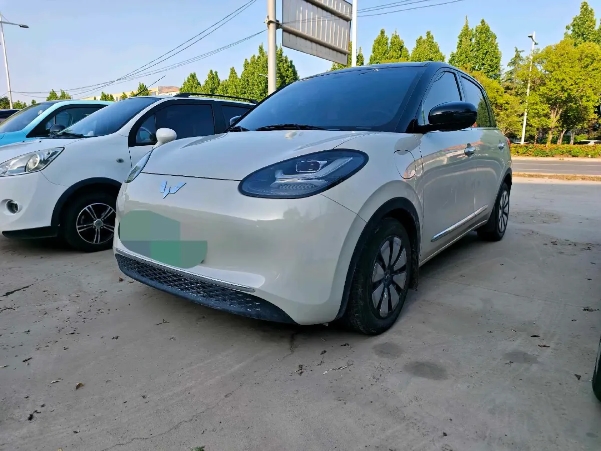 2023 WuLing BinGuo BEV 31.9KWH,autocango,china used car exporter,china ev exporter,chinese used car exporter,chinese used ev exporter
