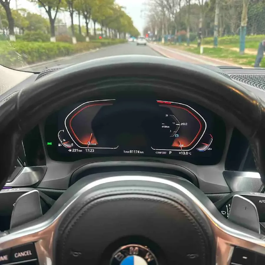 2021 BMW 3 Series 2.0T 184HP L4 8AT,autocango,china used car exporter,china ev exporter,chinese used car exporter,chinese used ev exporter