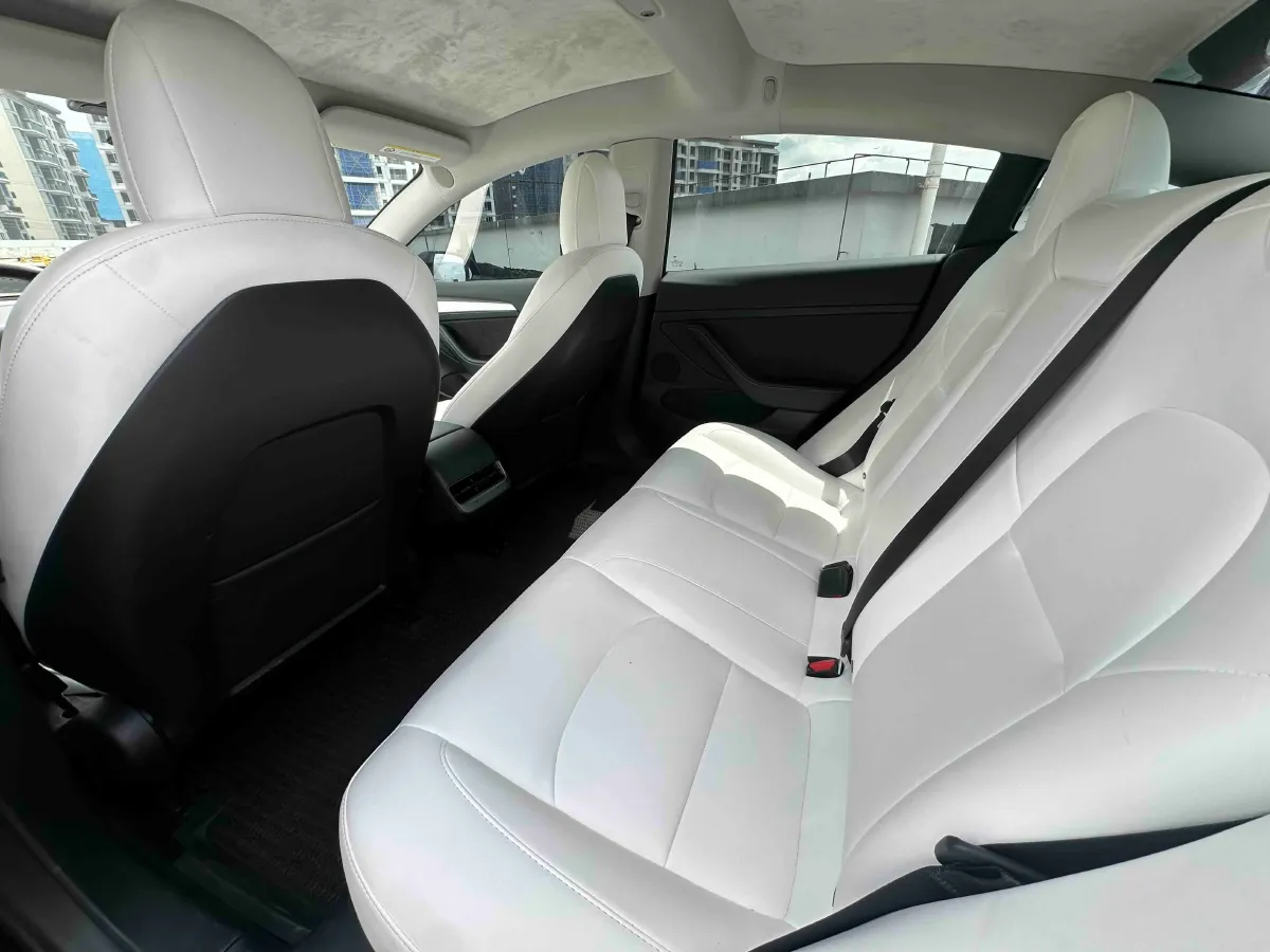 2022 Tesla Model 3 BEV 60KWH,autocango,china used car exporter,china ev exporter,chinese used car exporter,chinese used ev exporter