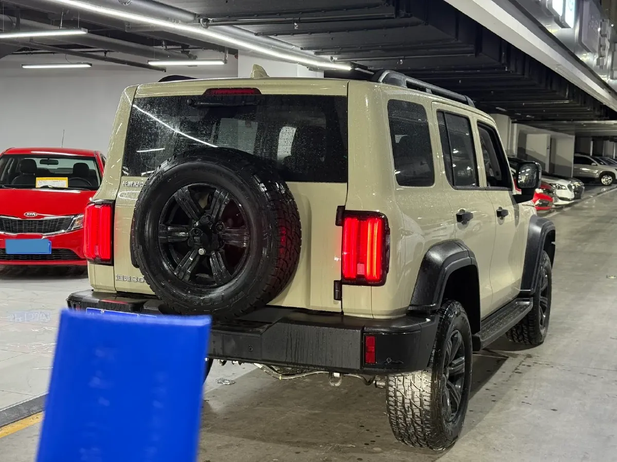 2025 Tank 300 2.0T 227HP L4 9AT,autocango,china used car exporter,china ev exporter,chinese used car exporter,chinese used ev exporter