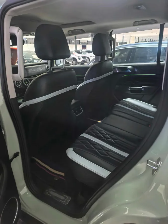 2023 Tank 300 2.0T 227HP L4 8AT,autocango,china used car exporter,china ev exporter,chinese used car exporter,chinese used ev exporter