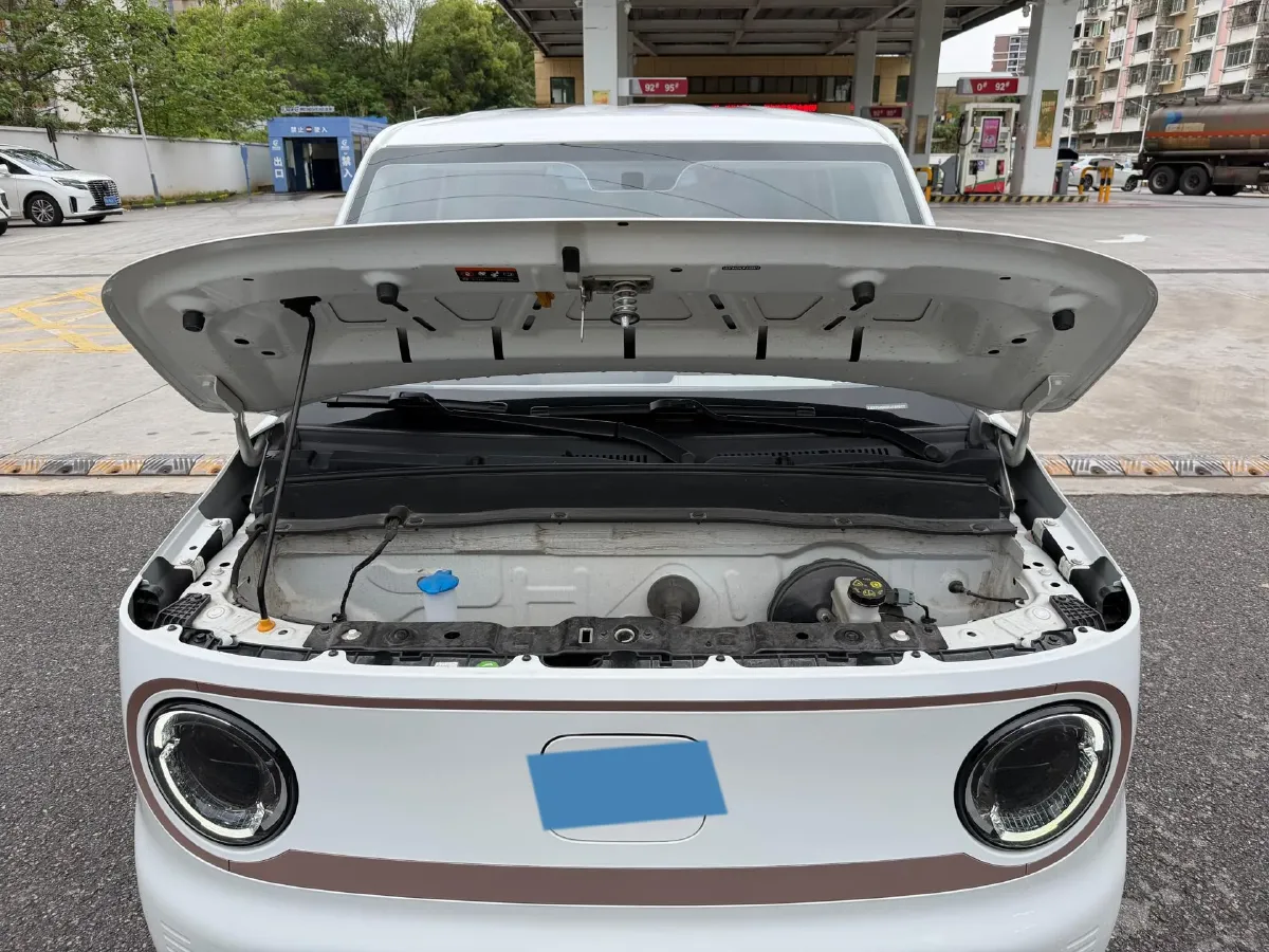 2023 Geely Galaxy Panda BEV 17.03KWH,autocango,china used car exporter,china ev exporter,chinese used car exporter,chinese used ev exporter